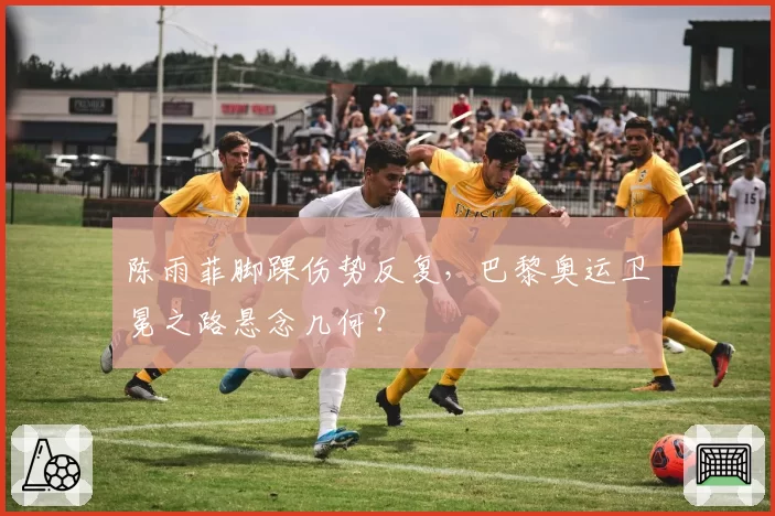 陈雨菲脚踝伤势反复,巴黎奥运卫冕之路悬念几何?