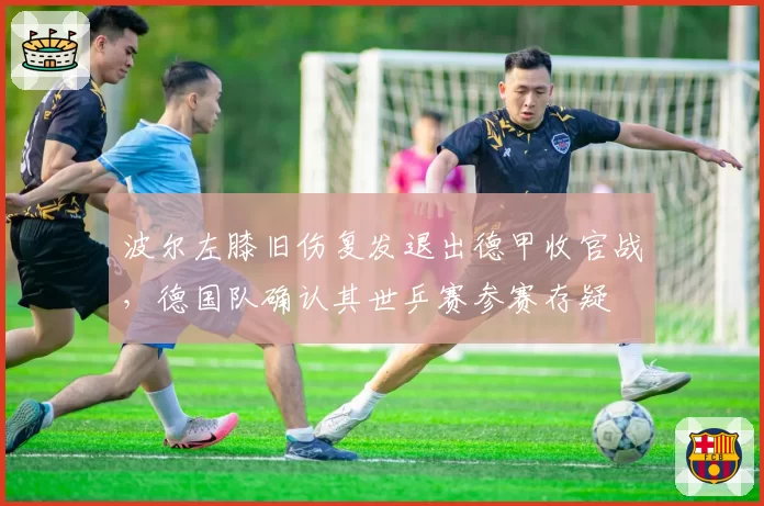 波尔左膝旧伤复发退出德甲收官战,德国队确认其世乒赛参赛存疑